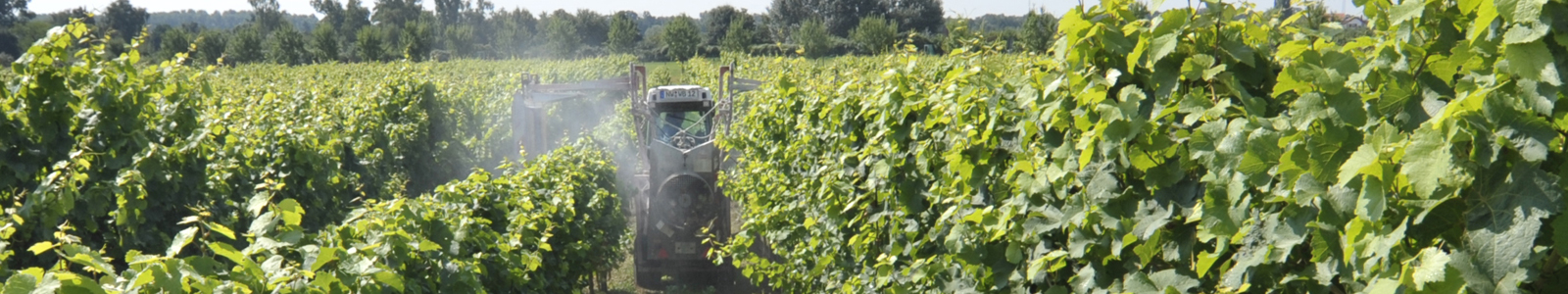 Traktor fährt mit Feldspritze zwischen Rebzeilen ©Feuerbach